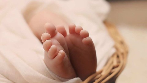 Doğurganlık Oranının Düşmesi Küresel Krize Dönüşüyor