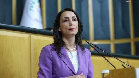 Tülay Hatimoğulları'ndan Orman Yangınları Tepkisi