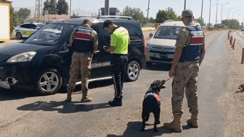 Van'da Aranan 20 Suçlu Yakalandı