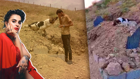 Vefası Yürekleri Yakan Köpeği Sahiplenen Ceylan Ertem’den Acı Feryat! 'Ne Olur' Dedi, Tek Bir Şey İstedi
