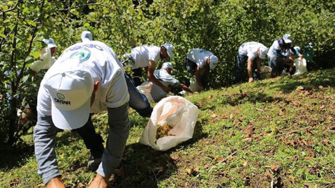 Orta Kuşakta Hasat Başladı: Bu Yöntemle Maliyet Yarı Yarıya Azalıyor, Kalite 2 Katına Çıkıyor
