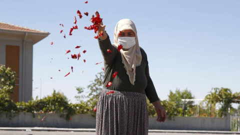 Ata Tohumundan Yetişiyor, Kilosu 750 TL'ye Satılıyor: Damarları Açıyor, Kalbi Saat Gibi Çalıştırıyor