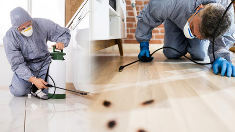 Böcek Ailesi’nin Zehirlenmesinde Şok Gerçek: Aynı İlaçlar Hepimizin Evinde! Evde Kullanılan İlaçlar ne Kadar Zehirli?