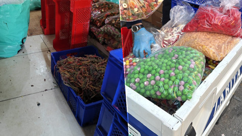 Hepsini Çocuklara Yedireceklerdi! Jelibon, Şekerleme... Tam 9 Ton! Baskında Şok Görüntüler