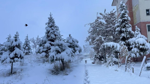 Van’da Kar Alarmı: Ulaşım Aksadı, Eğitim Durdu