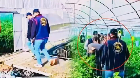 Cinayet İşledi, Kimlik Değiştirdi! 7 Yıllık Kaçış Sera Bahçesinde Bitti