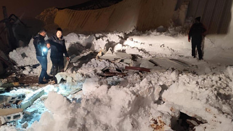 Siirt’te Kar Yağışı Sonrası Facia! 3 Ahır Çöktü, Çok Sayıda Hayvan Öldü