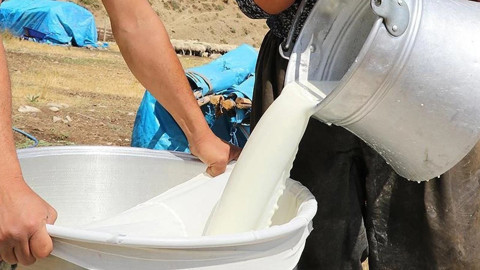 Çiğ Sütte Yeni Rakam Belli Oldu