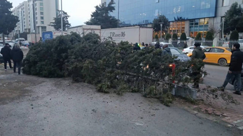 İstanbul’da Korku Dolu Anlar! Ağaç Devrildi, 1 Kişi Altında Kaldı