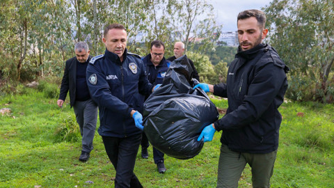 Buca'da Hayvan Katliamı! Sonuçlar Çıktı, Zehirleyerek Öldürmüşler