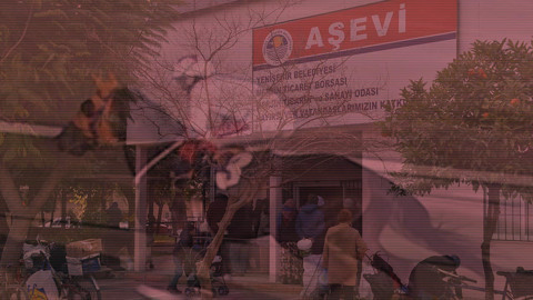 Şampiyon Yarış Atı 'Smart Latch' Aşevindeki Kavurmanın İçinden Çıktı: Mersin'de Büyük Skandal