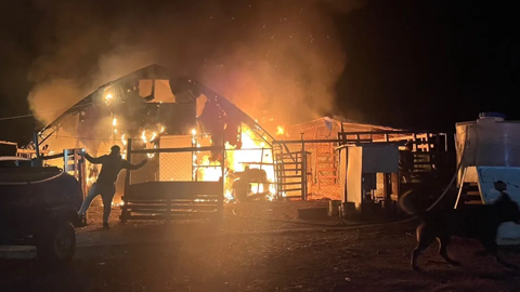 Çiftlikte Yangın Faciası! 580 Hayvan Öldü