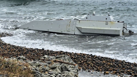 Ordu Kıyılarında Büyük Alarm! Vatandaşlar Fark Etti, İmha Edilecek