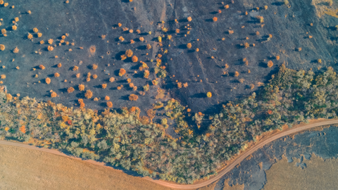 Dünya Meteoroloji Örgütü Uyardı: Sıcaklık Eşiği Aşıldı, 1 Milyar İnsan İçin Hayat Daralıyor