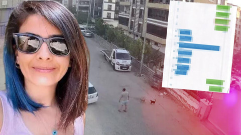 2 Aylık Hamile Kadının Sır Ölümü: Şok Mesajlar Ortaya Çıktı
