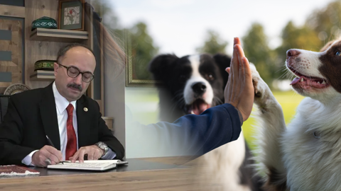 AK Partili Vekilden Hayvanseverlere Ağır Sözler: 'Köpekçi Terörü, Köpeksever, İt...’