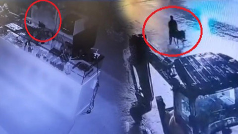 Altınları Çalıp Eşekle Kaçmıştı: Film Gibi Hırsızlıkta Ceza Belli Oldu