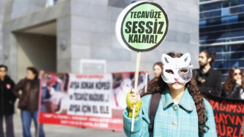 Köpek Lucy’ye Cinsel Saldırı Davasında Skandal Karar: Suç Sabit, Ceza Alt Sınırdan!