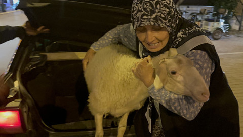 Bayramın En Güzel Mucizesi: Yanlışlıkla Kurban Diye Götürülen 'Çorap' Bıçağın Altından Son Anda Alındı