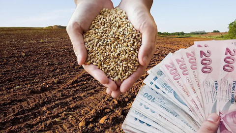 2026 Yılı Hububat Alım ve Satım Fiyatları Belli Oldu