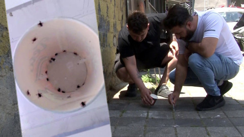 Sarıyer’de Kene İstilası: 'Bir Haftada 500 Kene Öldürdük' Diyen Mahalleli İsyanda