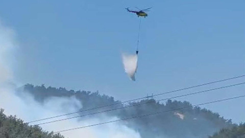Manisa'da Orman Yangını
