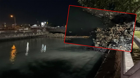 İstanbul Bakırköy'de Toplu Balık Ölümleri Paniğe Neden Oldu: AFAD Harekete Geçti