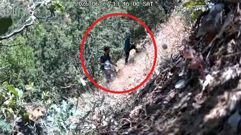 Fotokapana Yakalanan Siyasetçi: CHP İlçe Başkanı ve Oğlu Kenevir Tarlasında Gözaltına Alındı