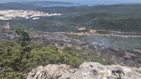 Alevlere Karşı Dev Hava Filosu: Antalya'da Korkutan Yangın Söndürüldü