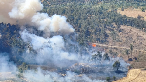 Bursa'da Çıkan Yangın Balıkesir'e Sıçradı