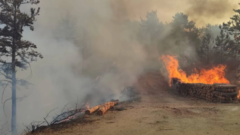 Bolu’da Çıkan Orman Yangını Kontrol Altına Alındı