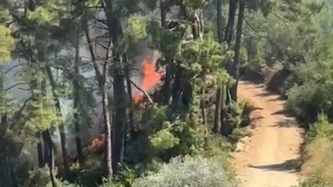 Fethiye'de Orman Yangını Alarmı