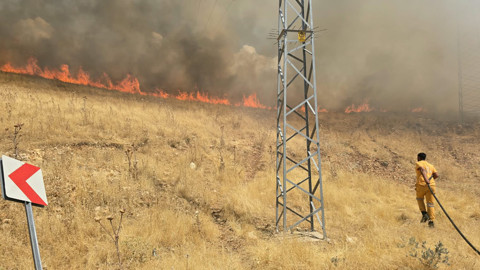 Diyarbakır'da Orman Yangını Alarmı! Alevler Rüzgarın Etkisiyle Hızla Yayılıyor