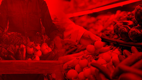 Tarladan Markete Fiyat Vurgununa Dev Operasyon: 41 Büyük Dağıtıcı Firmanın Yöneticileri İçin Gözaltı Kararı