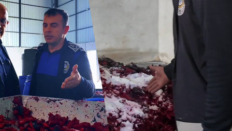 Hatay’da Mide Bulandıran Görüntüler! Salça Deposuna Baskın Yapıldı, Gıda Üretimi Pes Dedirtti