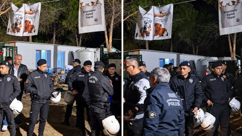 Kampüste Gece Yarısı Dehşeti: Ege Üniversitesi'nde 200 Köpek Biber Gazıyla Toplatıldı!