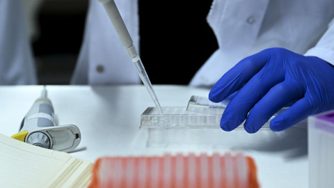 2 Milyon Euroluk 'Yumurta Ticareti' Operasyonun Karar Çıktı: 44 Kişi Gözaltına Alınmıştı