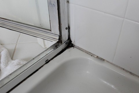 Banyoda tek bir küf lekesi dahi kalmayacak: Küf lekelerini saniyeler içerisinde temizlemenin sırrı bulundu. Küf nasıl temizlenir?