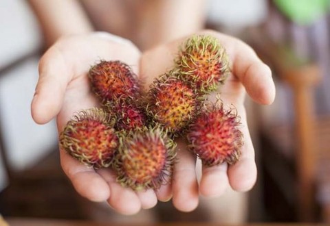 Rambutan meyvesinin inanılmaz faydaları