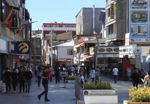 Araştırma: Farklı anadillere sahip olan her 10 kişiden en az 7’sinin sosyal hayat dili Türkçe