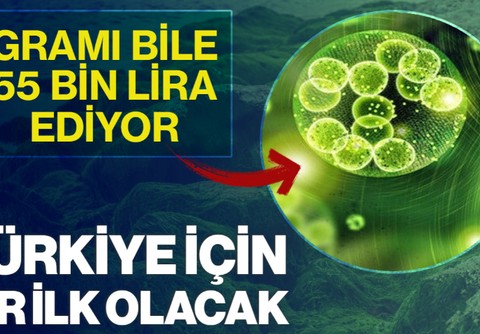 Ne Altın Ne Dolar Ne de Borsa! Sadece Gramı 55 Bin Lira! Bu Yatırıma Yönelen Para Basacak, Türkiye'de Bir İlk Olacak