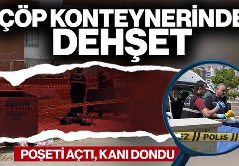 Çöp Konteynerinde Dehşet! Poşeti Açtı, Kanı Dondu… Bir Mahalle Diken Üstünde