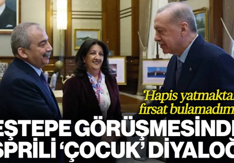 Cumhurbaşkanı Erdoğan ile Sırrı Süreyya Önder Arasında 'Çocuk' Diyaloğu