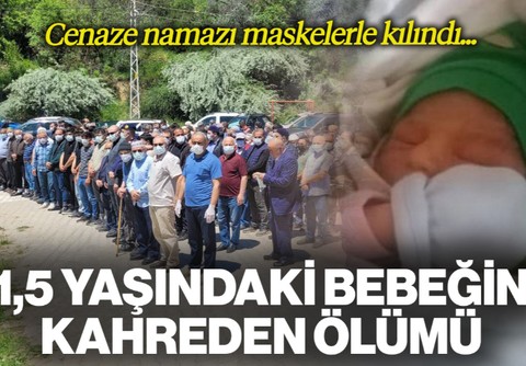 1,5 Yaşındaki Metehan'ın Kahreden Ölümü: Kene Isırdı, Tüm Müdahalelere Rağmen Kurtarılamadı