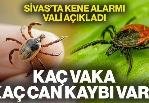 Sivas'ta Kene Alarmı! Vali Açıkladı... Kaç Vaka, Kaç Can Kaybı Var?