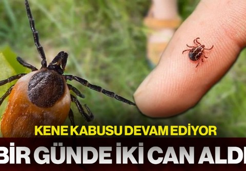 Kene Kabusu Devam Ediyor: Bir Günde İki Can Aldı