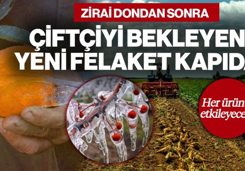 Zirai Dondan Sonra Çiftçiyi Bekleyen Yeni Felaket Kapıda! Her Ürünü Etkileyecek