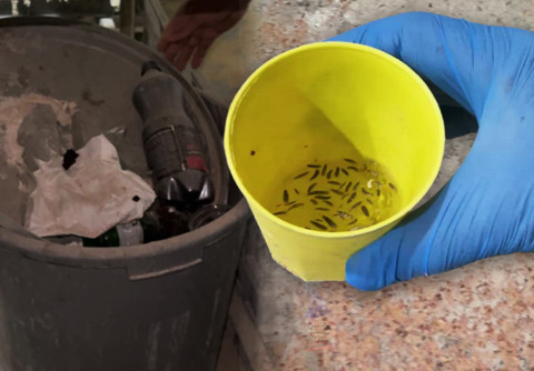 Fırın Denetiminde Şok Anlar! Zabıtalar Böcek Çeşitlerini Saymakla Bitiremedi