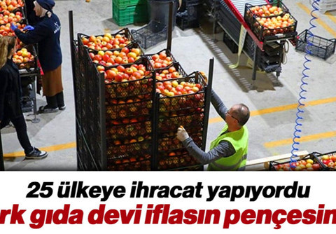 Meyve-Sebze Sektöründe Büyük Firma Konkordato İlan Etti