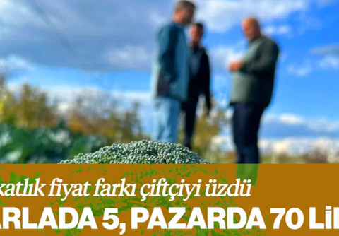 Tarlada 5, Pazarda 70 Lira! 14 Katlık Fiyat Farkı Çiftçiyi Üzdü
